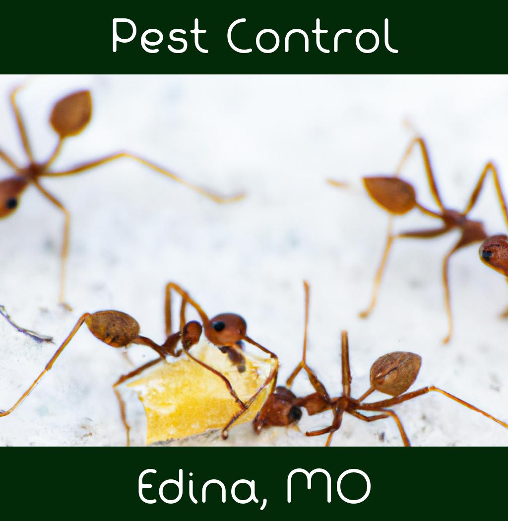 pest control in Edina Missouri