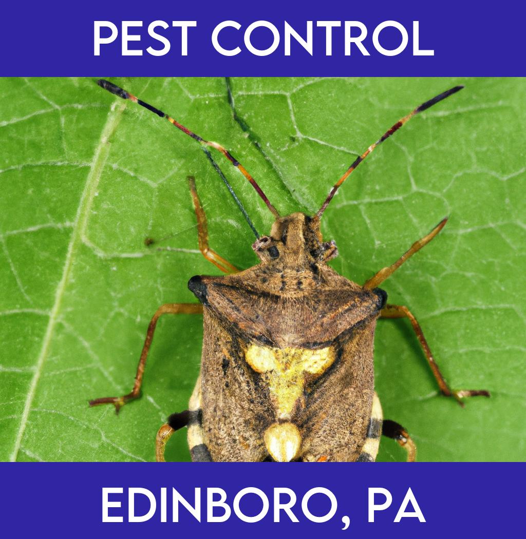 pest control in Edinboro Pennsylvania