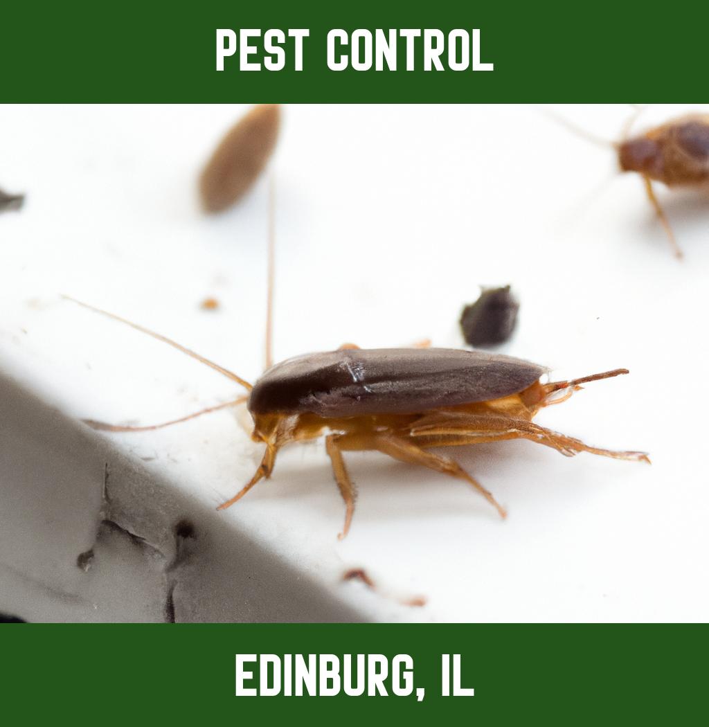 pest control in Edinburg Illinois