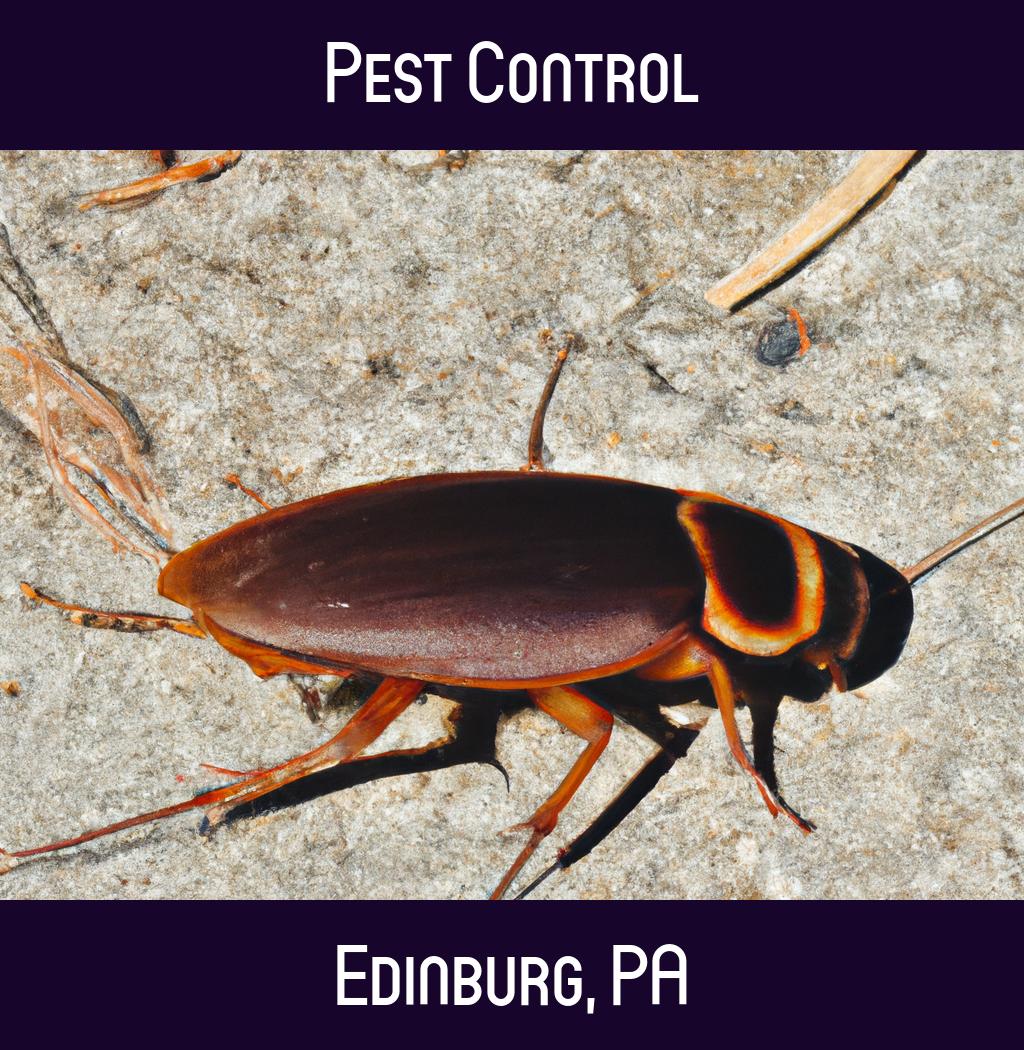 pest control in Edinburg Pennsylvania