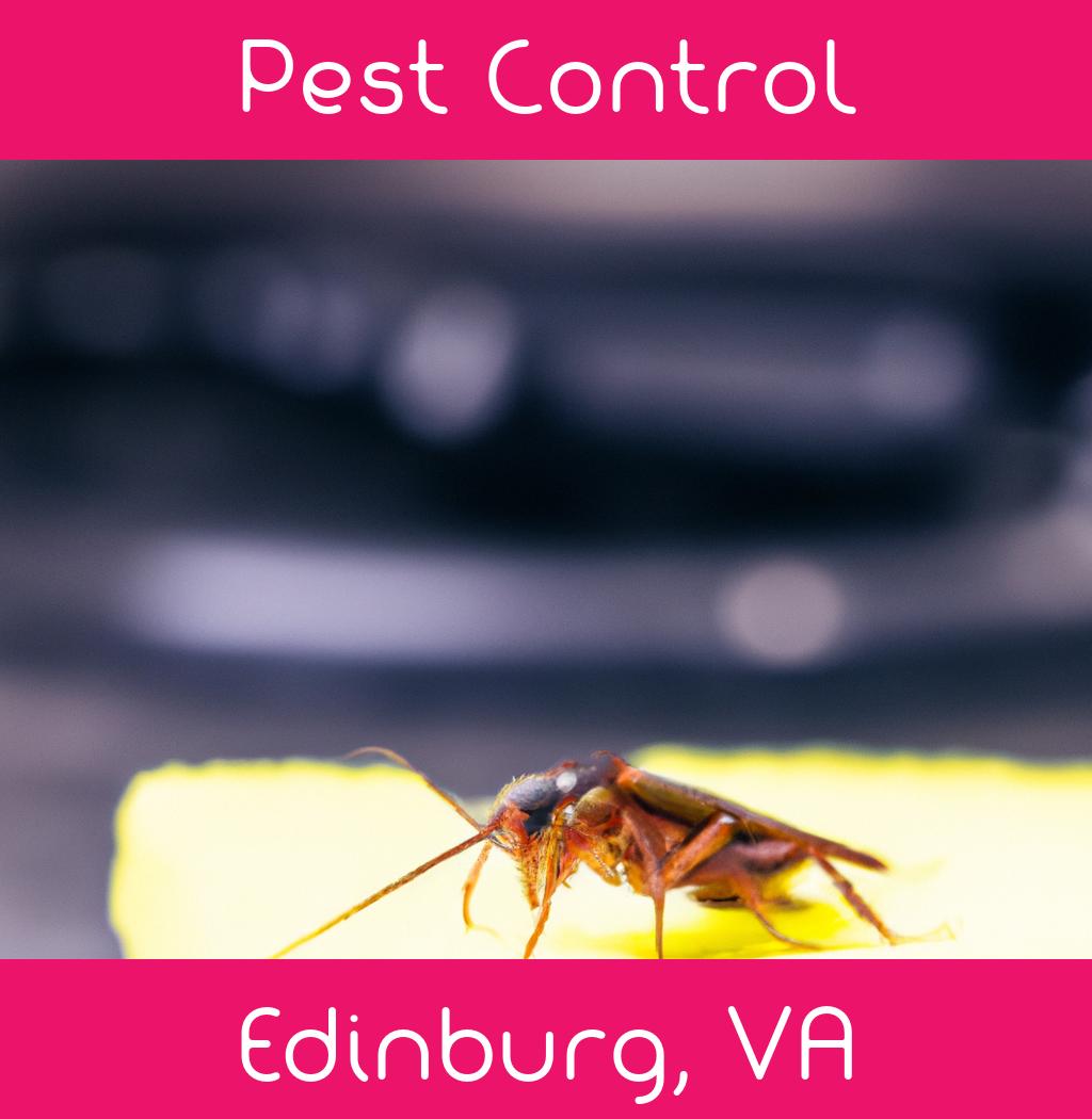 pest control in Edinburg Virginia