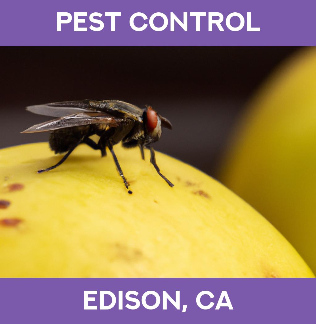 pest control in Edison California