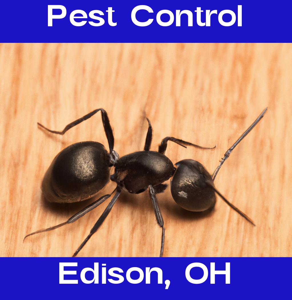 pest control in Edison Ohio