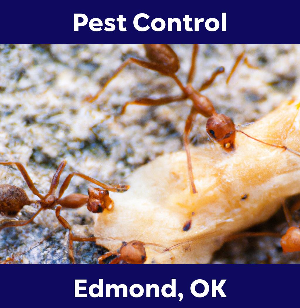 pest control in Edmond Oklahoma