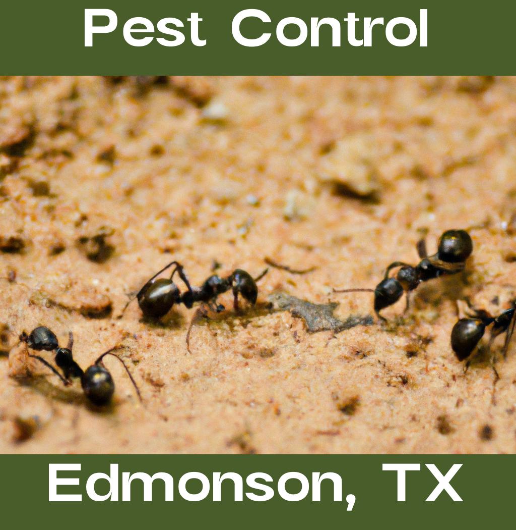 pest control in Edmonson Texas