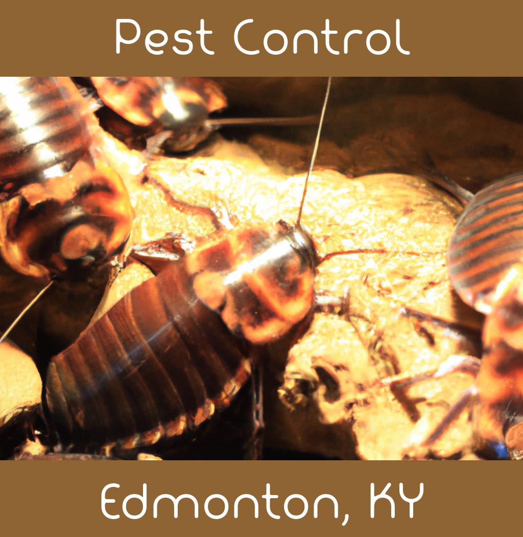 pest control in Edmonton Kentucky