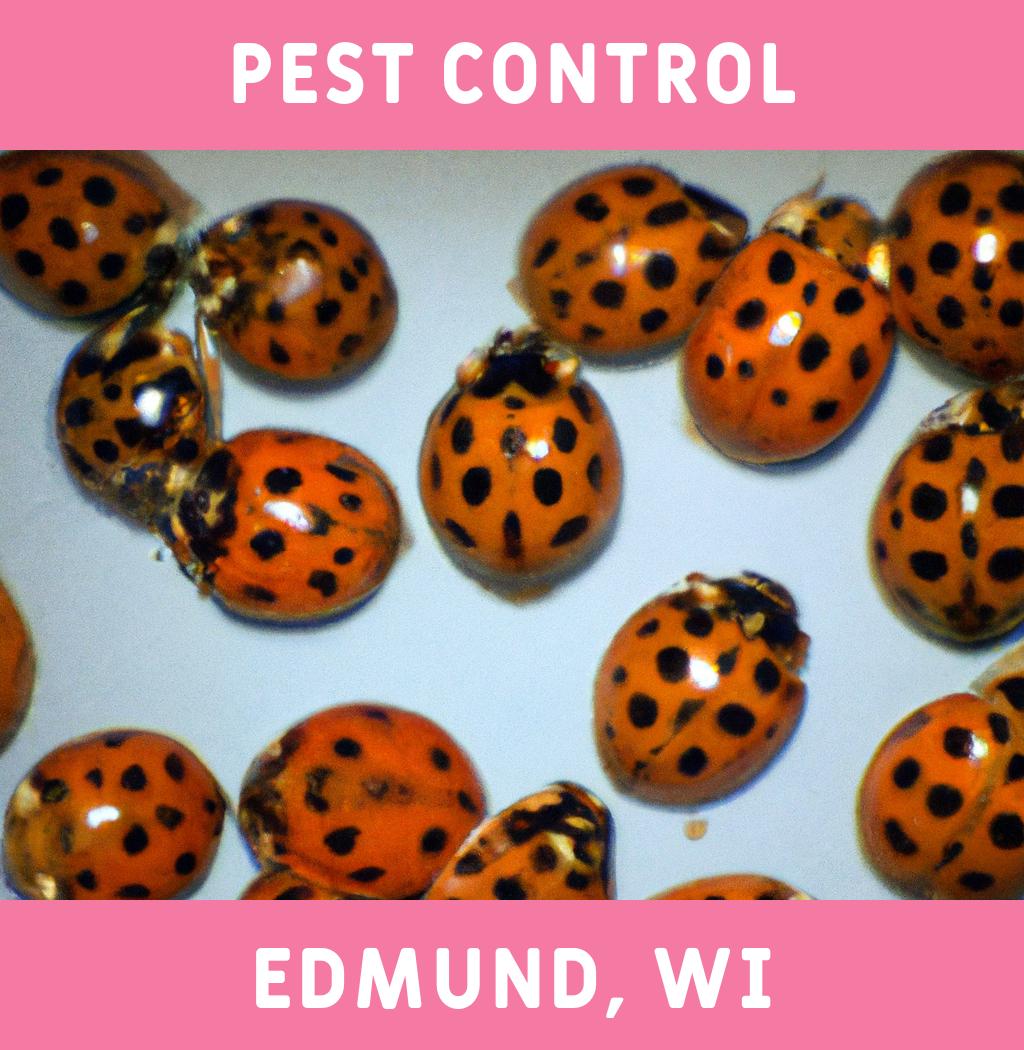 pest control in Edmund Wisconsin