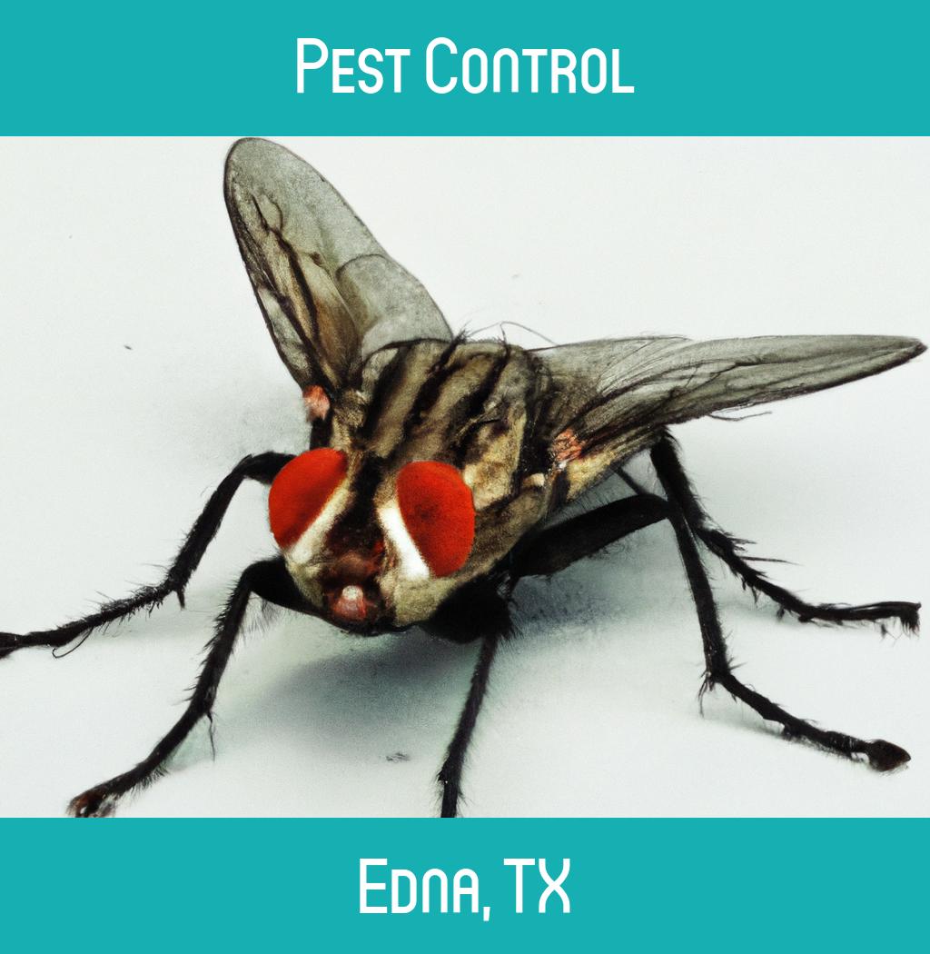 pest control in Edna Texas