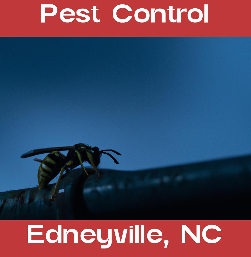 pest control in Edneyville North Carolina