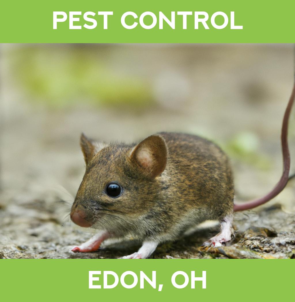 pest control in Edon Ohio