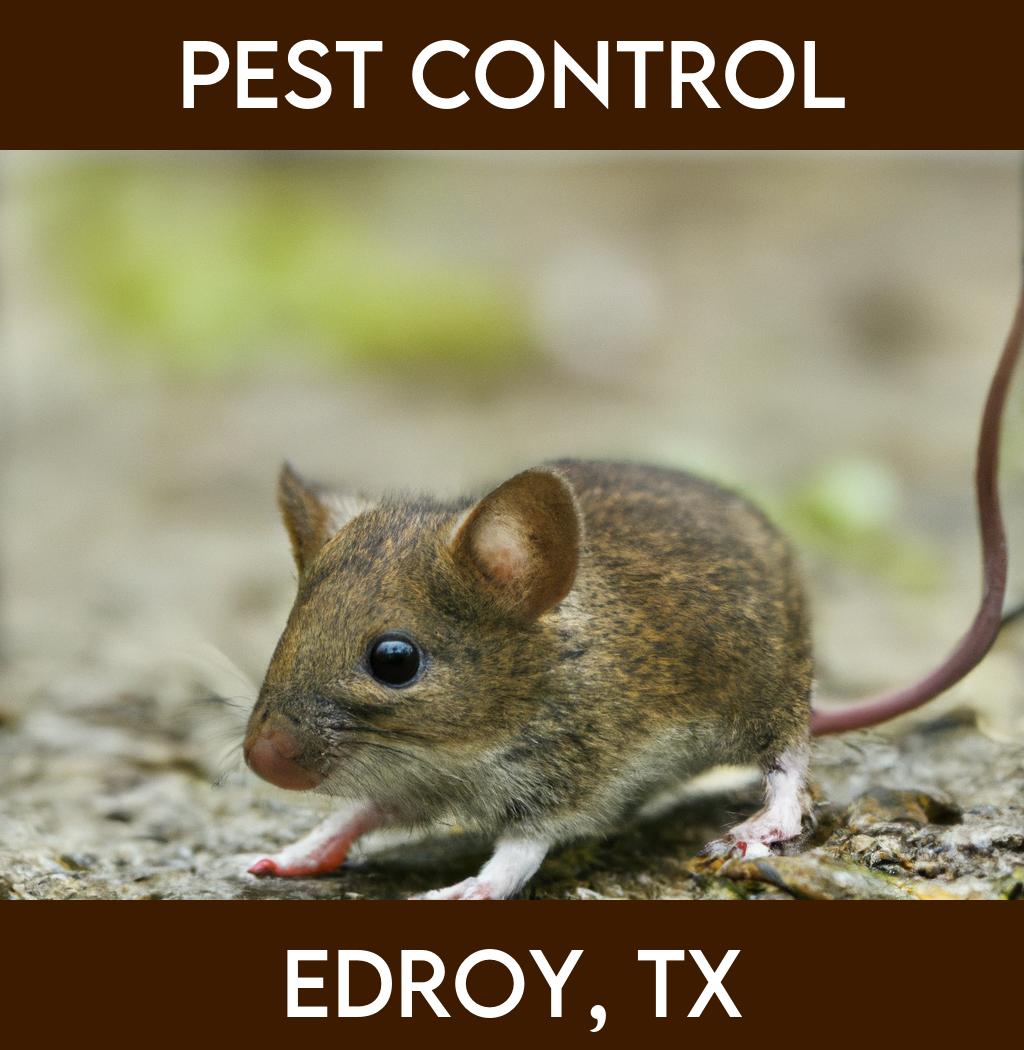 pest control in Edroy Texas