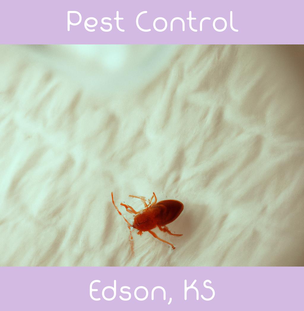 pest control in Edson Kansas