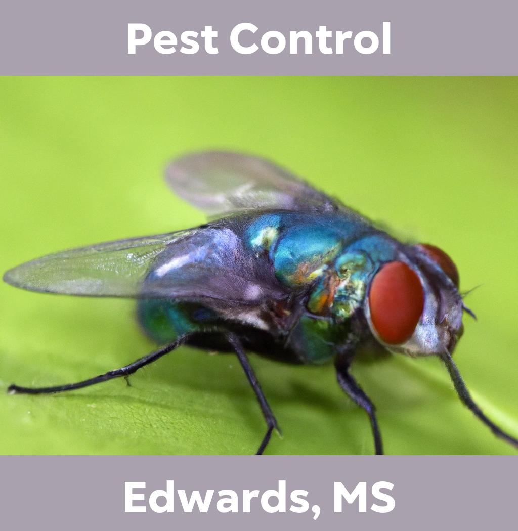 pest control in Edwards Mississippi