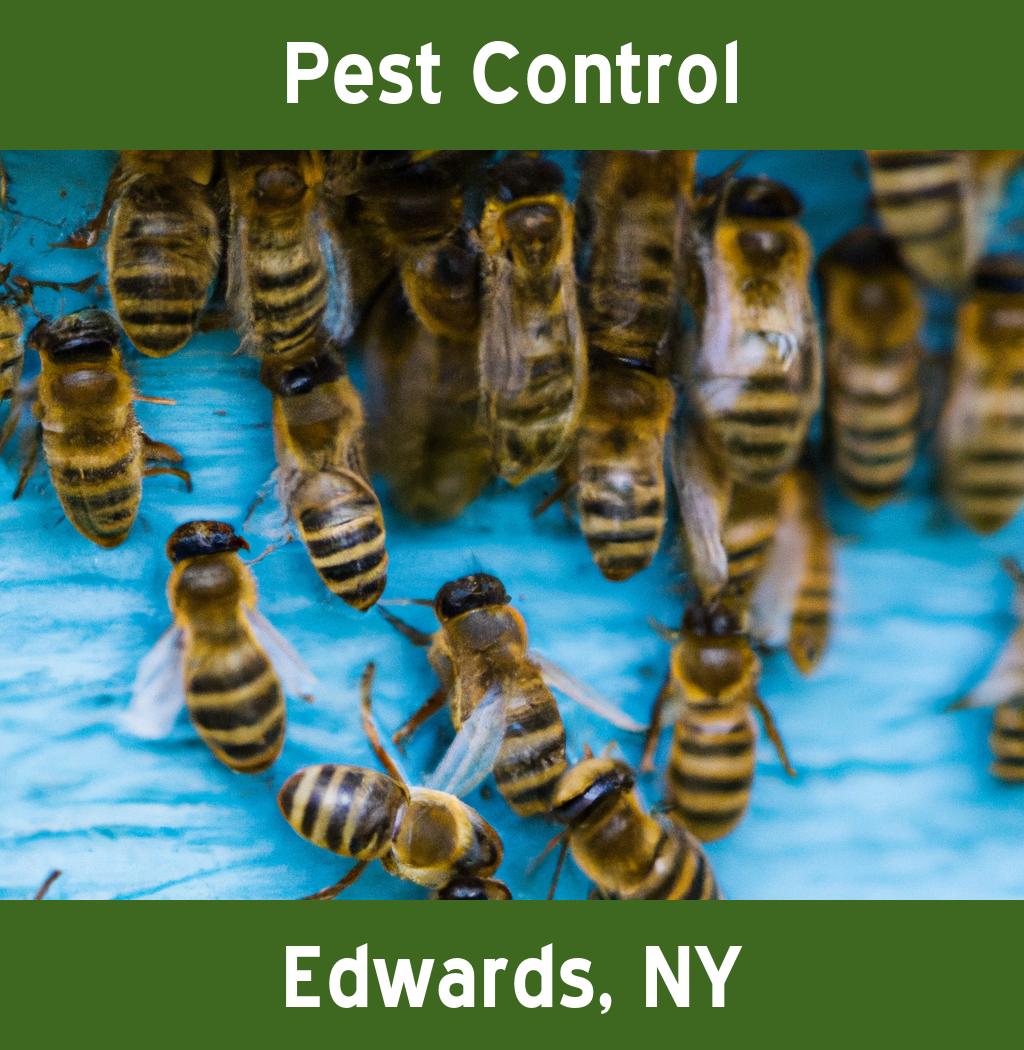 pest control in Edwards New York