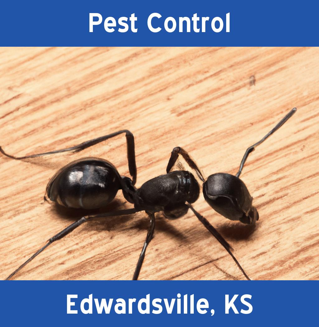 pest control in Edwardsville Kansas