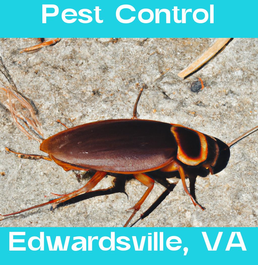 pest control in Edwardsville Virginia