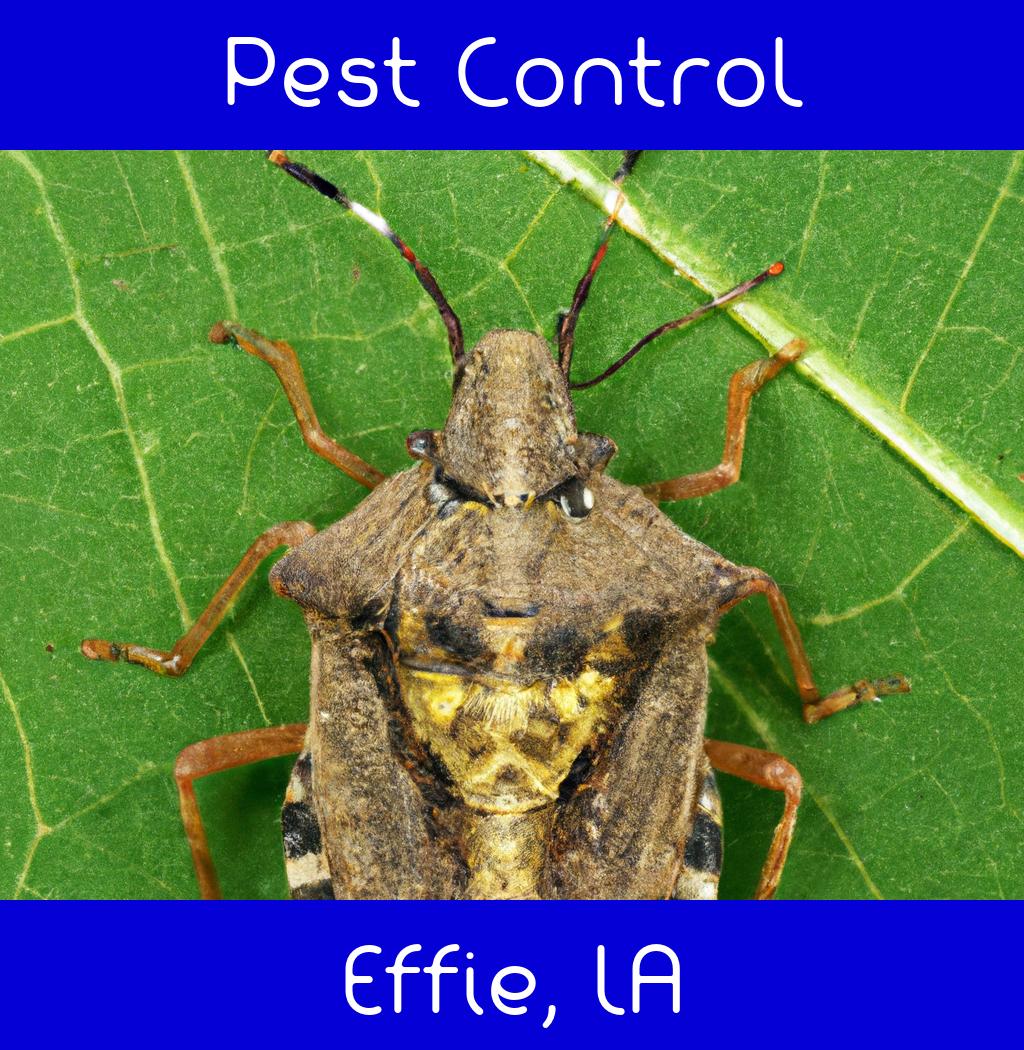 pest control in Effie Louisiana