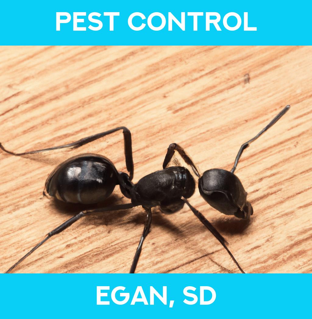 pest control in Egan South Dakota