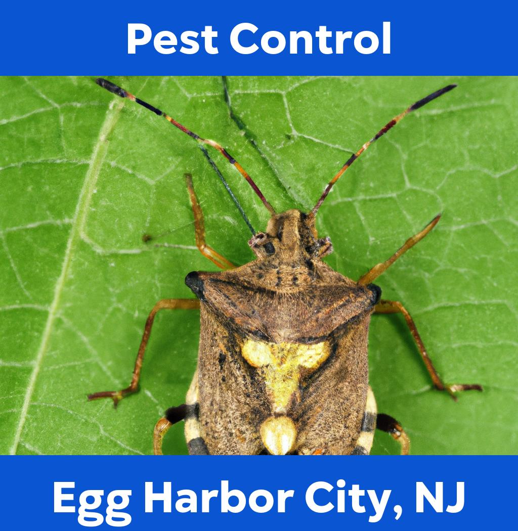 pest control in Egg Harbor City New Jersey