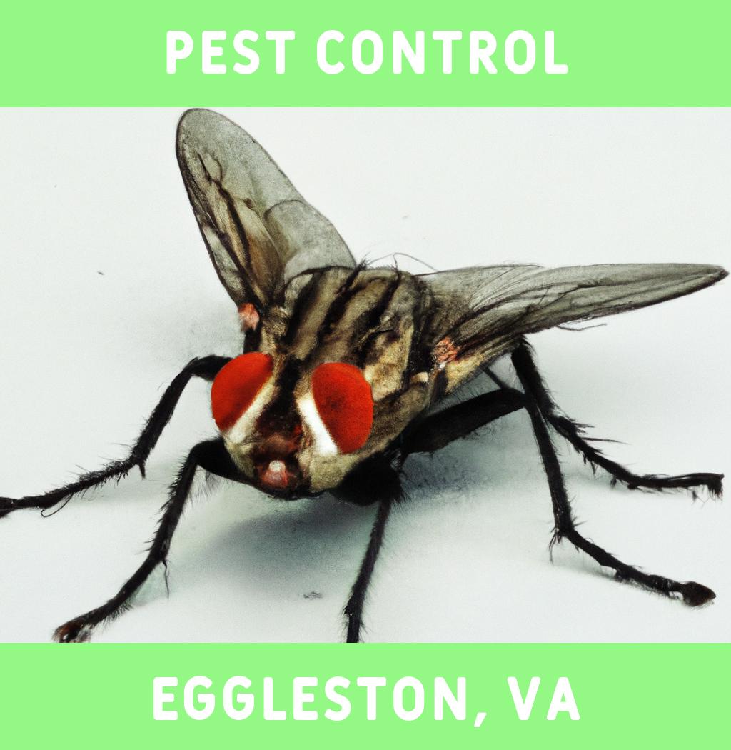 pest control in Eggleston Virginia