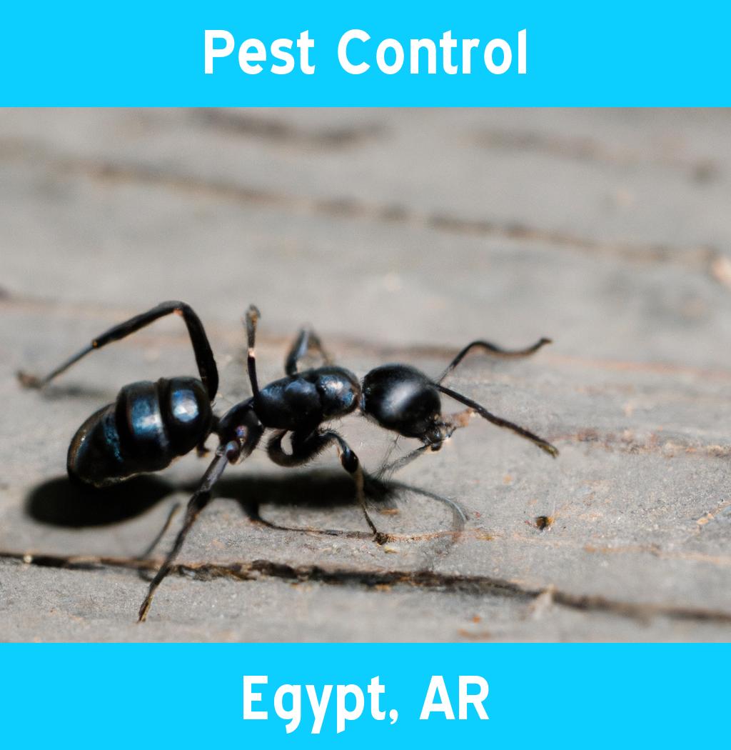 pest control in Egypt Arkansas