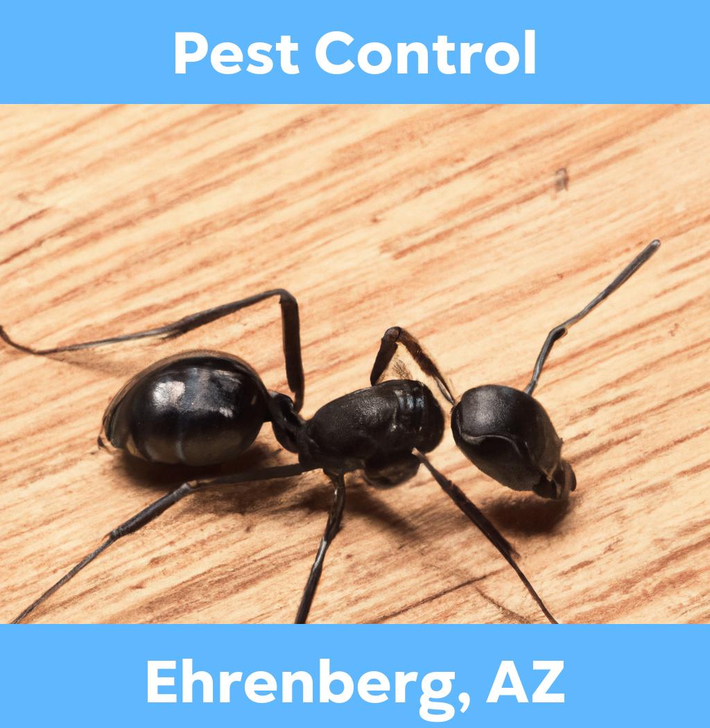 pest control in Ehrenberg Arizona