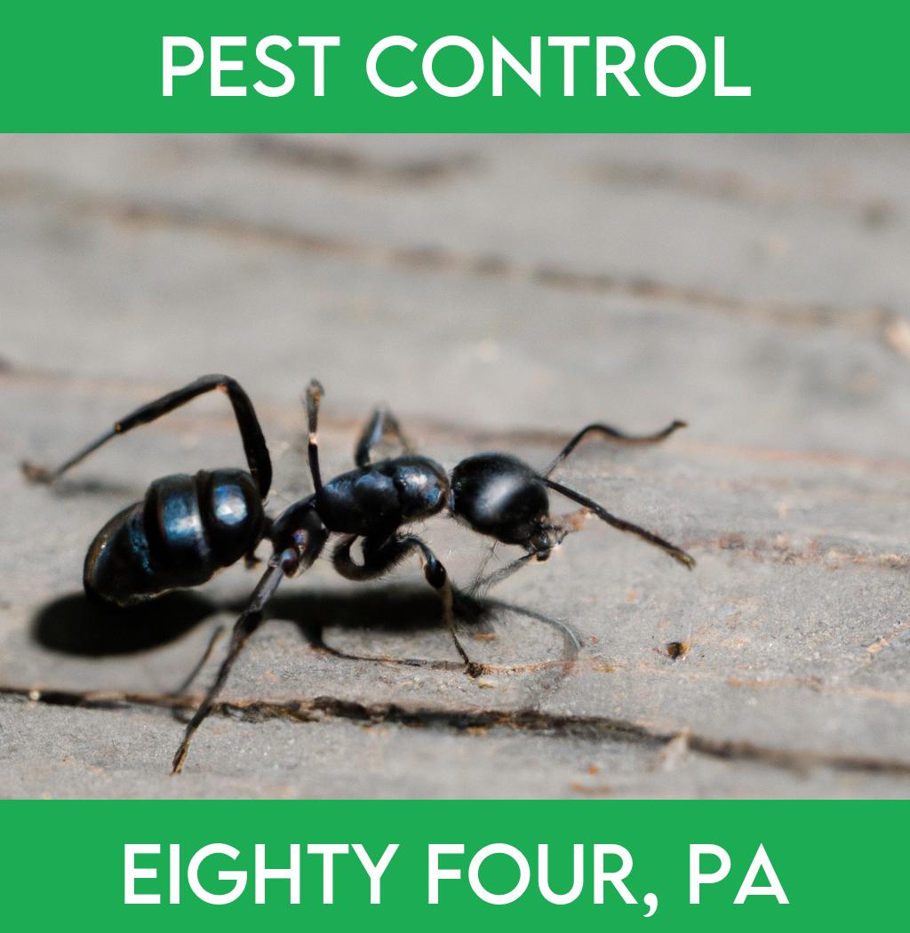 pest control in Eighty Four Pennsylvania