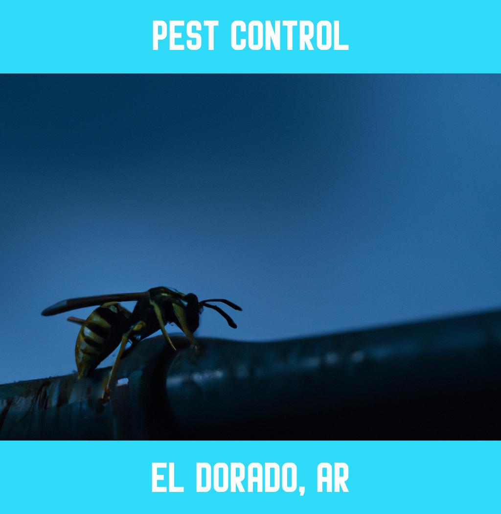 pest control in El Dorado Arkansas