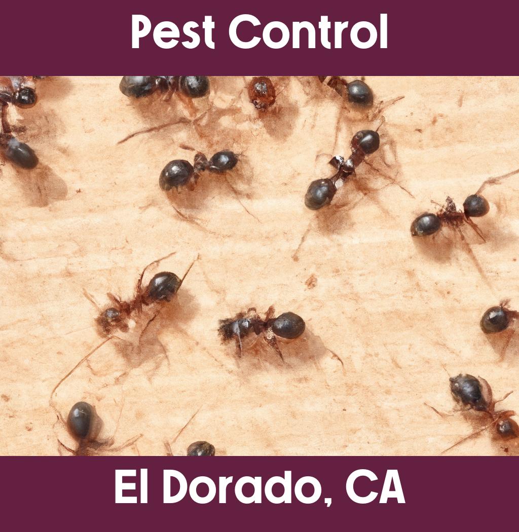 pest control in El Dorado California