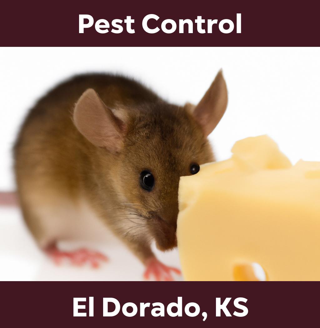 pest control in El Dorado Kansas