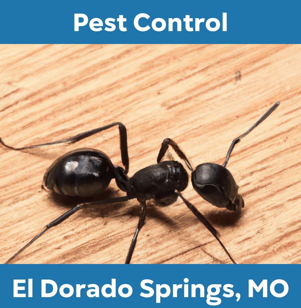 pest control in El Dorado Springs Missouri