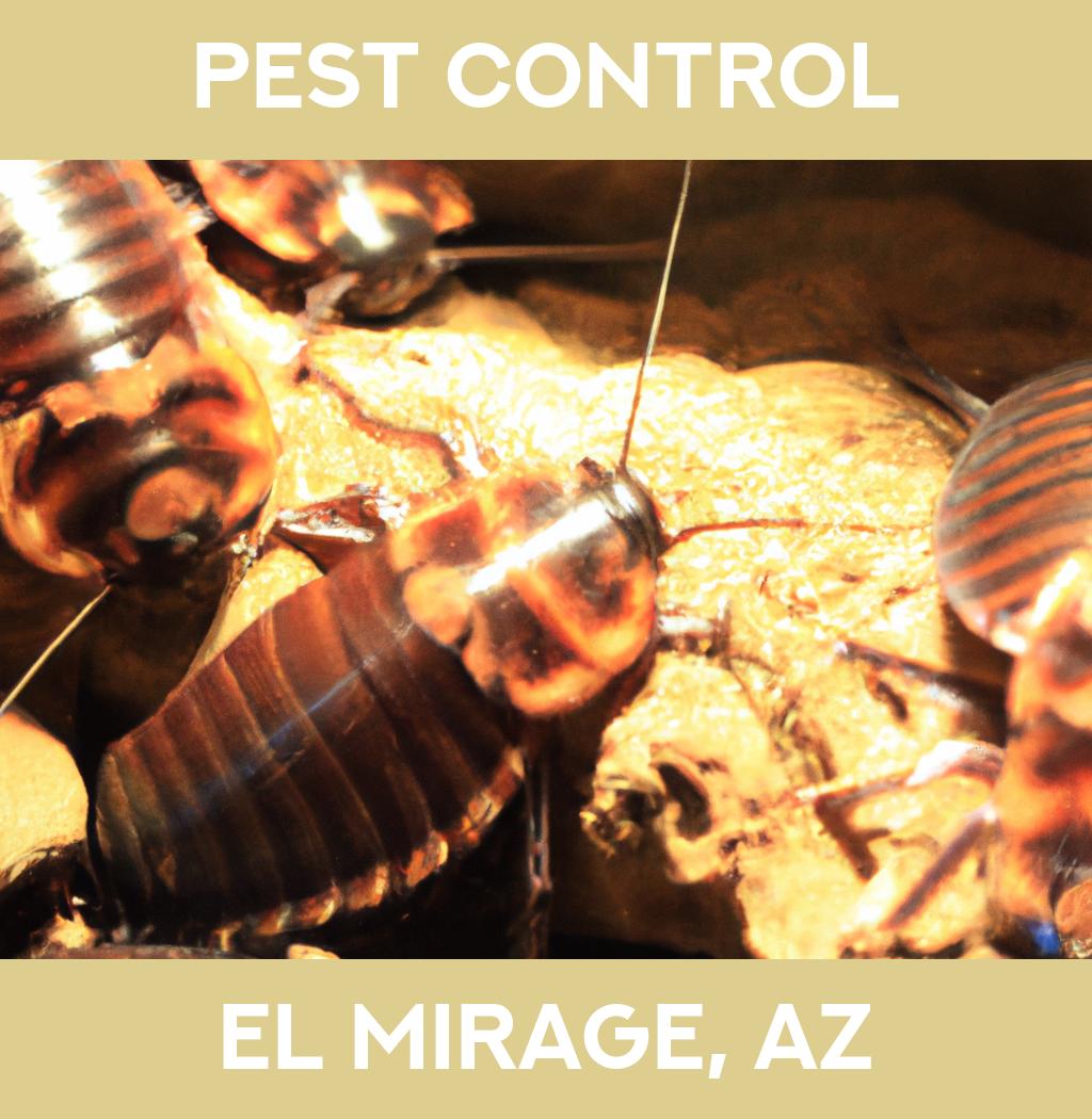pest control in El Mirage Arizona