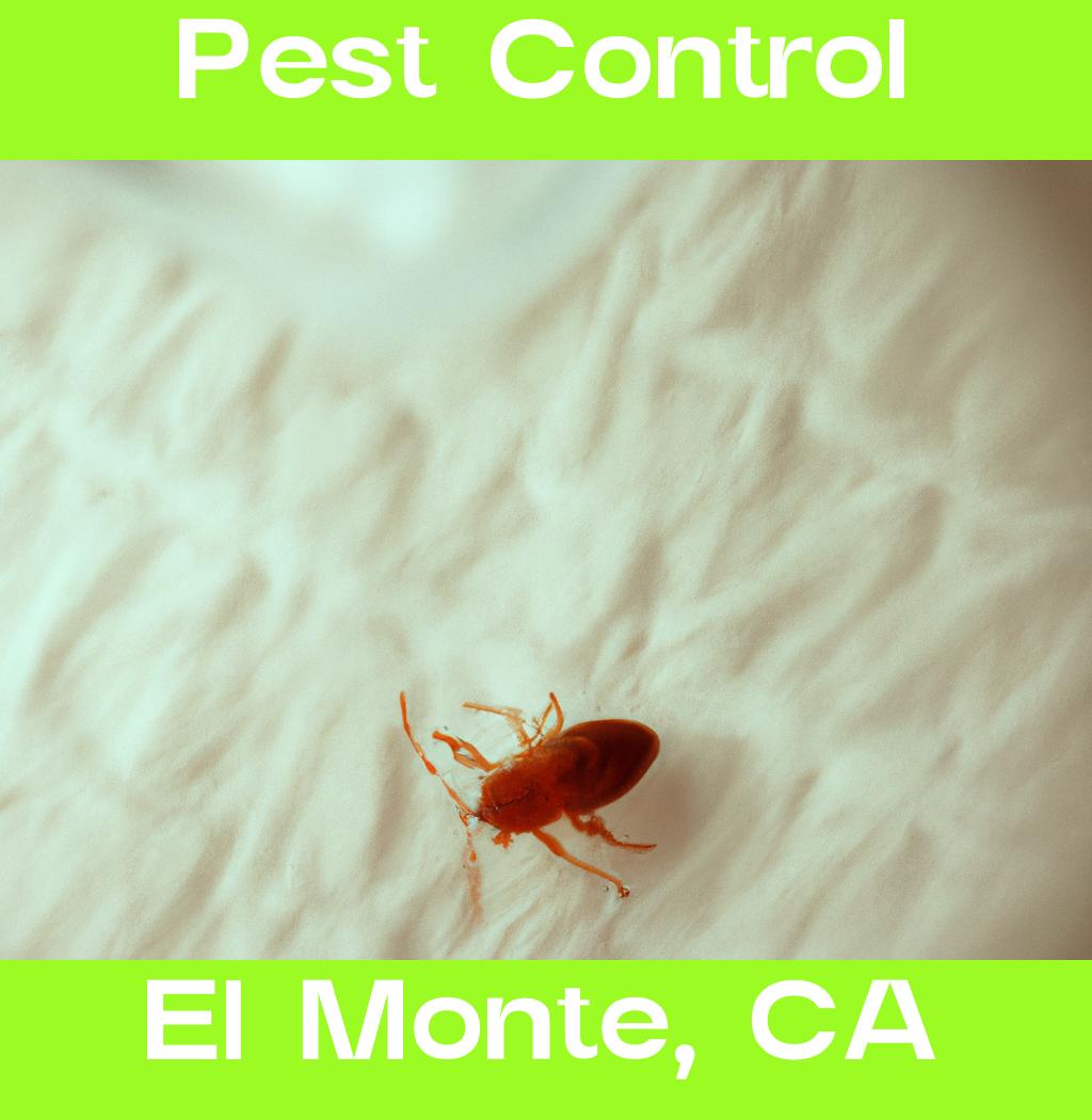 pest control in El Monte California