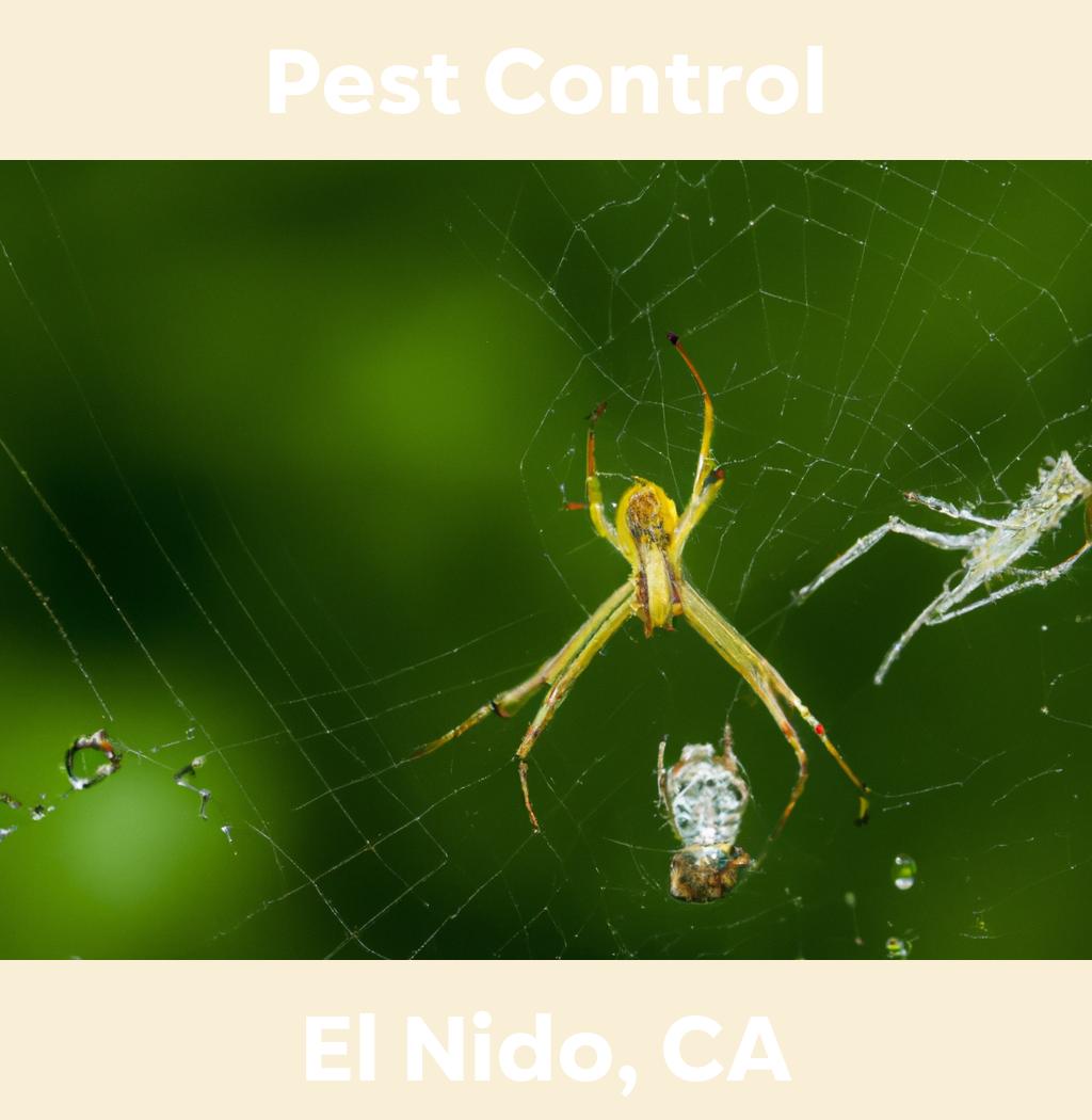 pest control in El Nido California