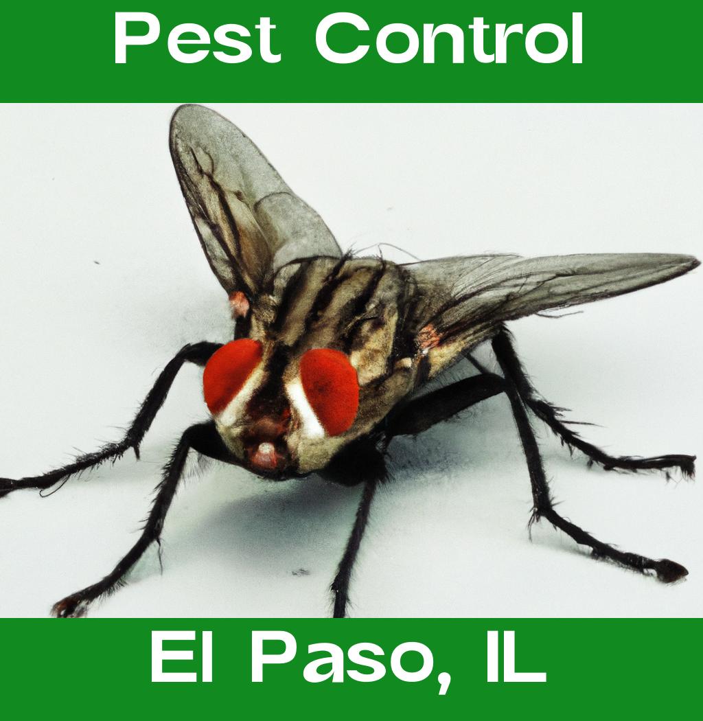 pest control in El Paso Illinois