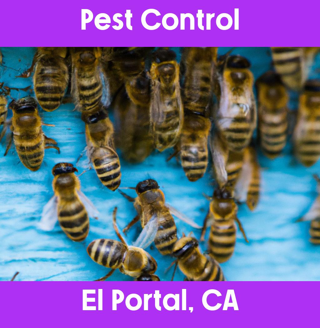 pest control in El Portal California