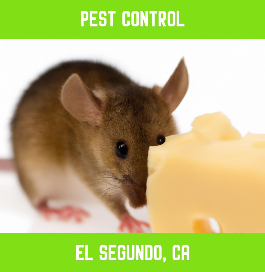 pest control in El Segundo California