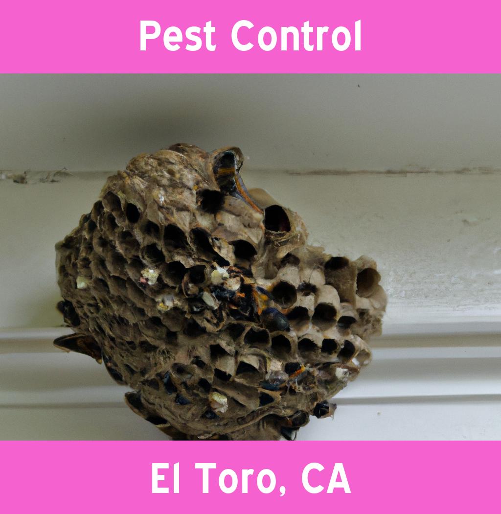 pest control in El Toro California