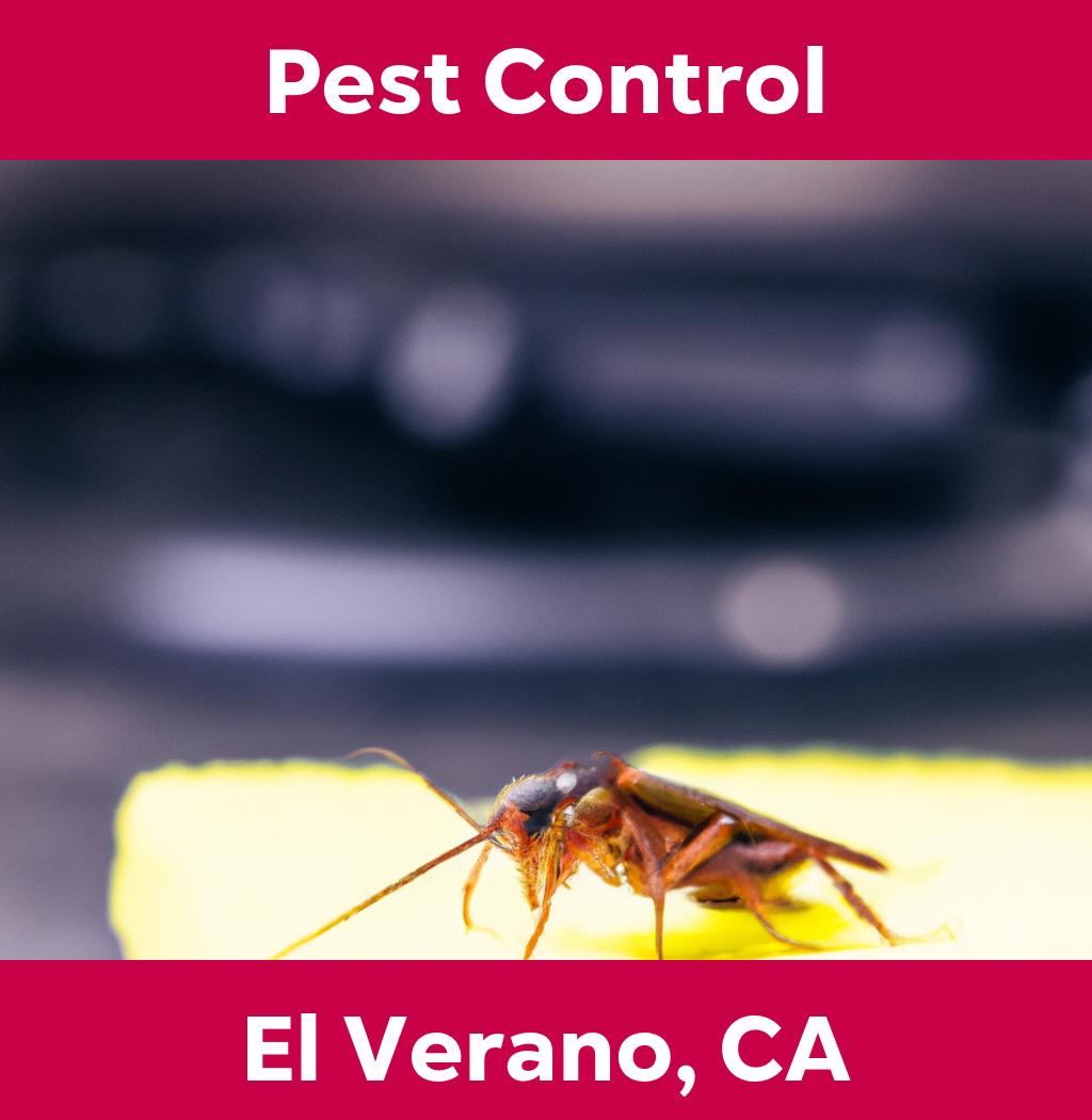 pest control in El Verano California