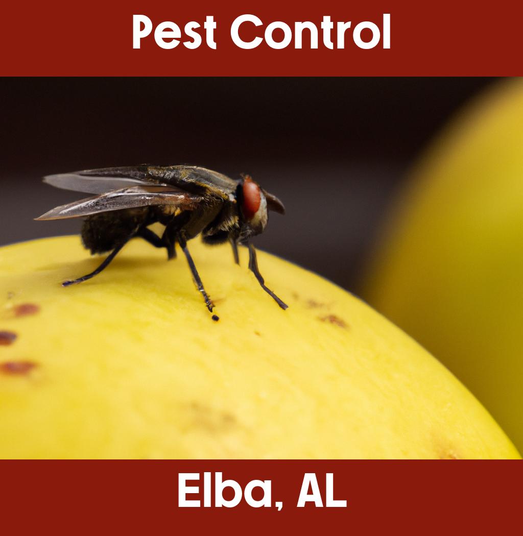 pest control in Elba Alabama