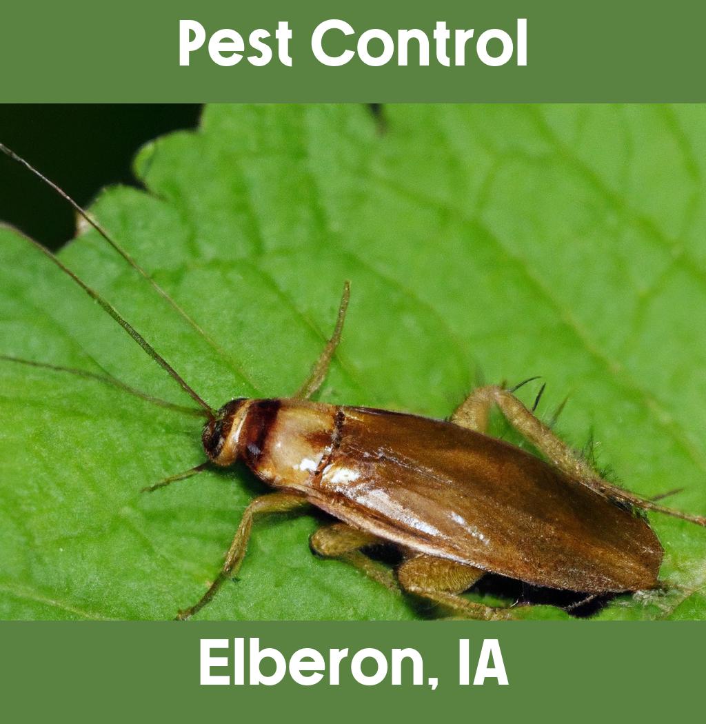 pest control in Elberon Iowa