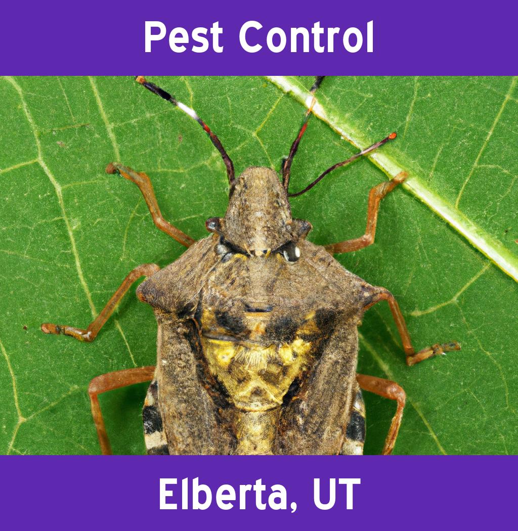 pest control in Elberta Utah