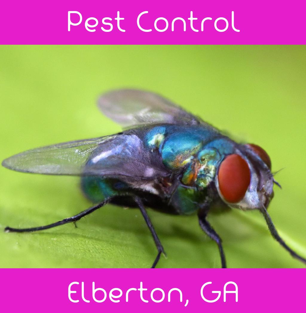 pest control in Elberton Georgia