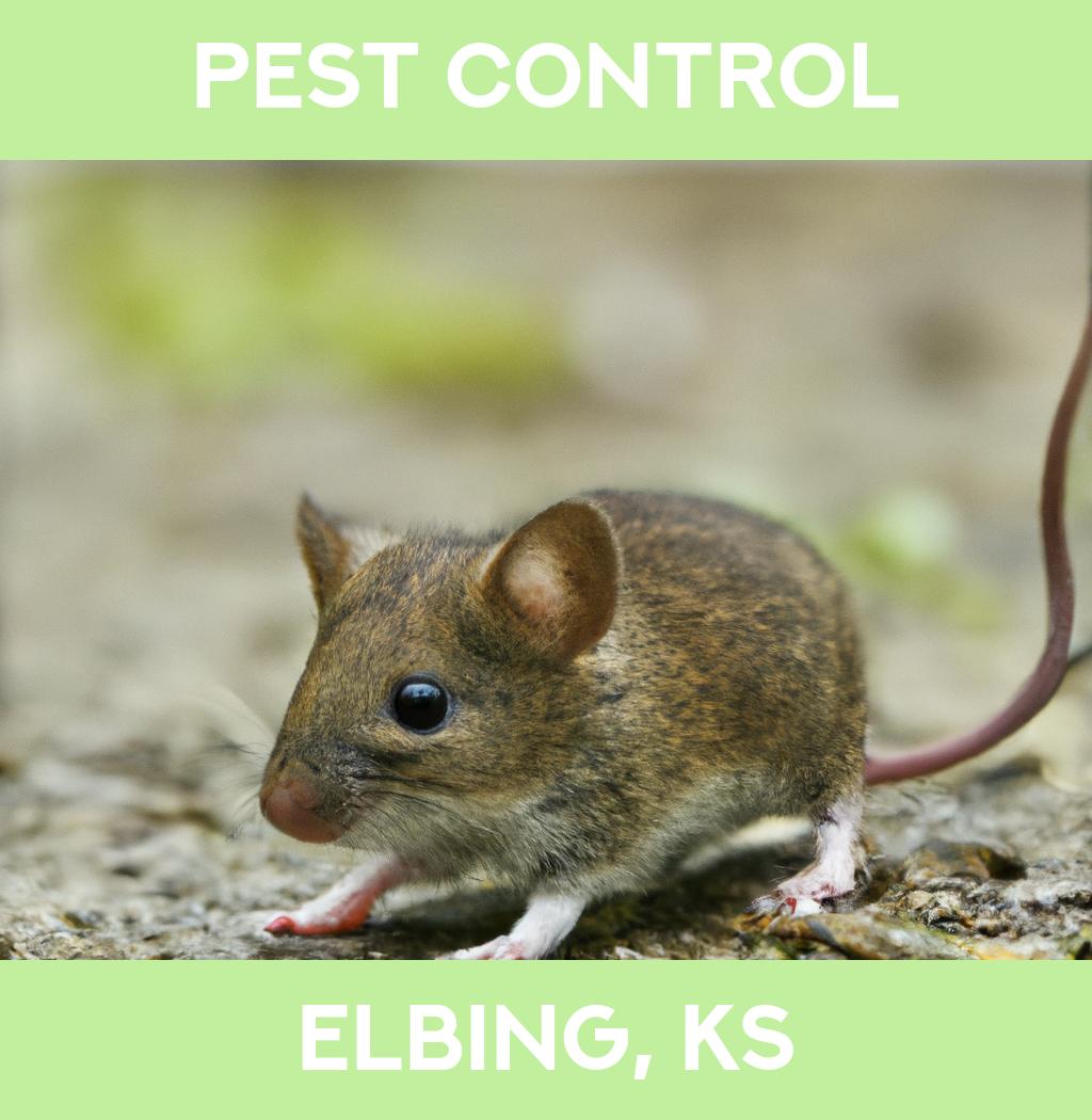 pest control in Elbing Kansas