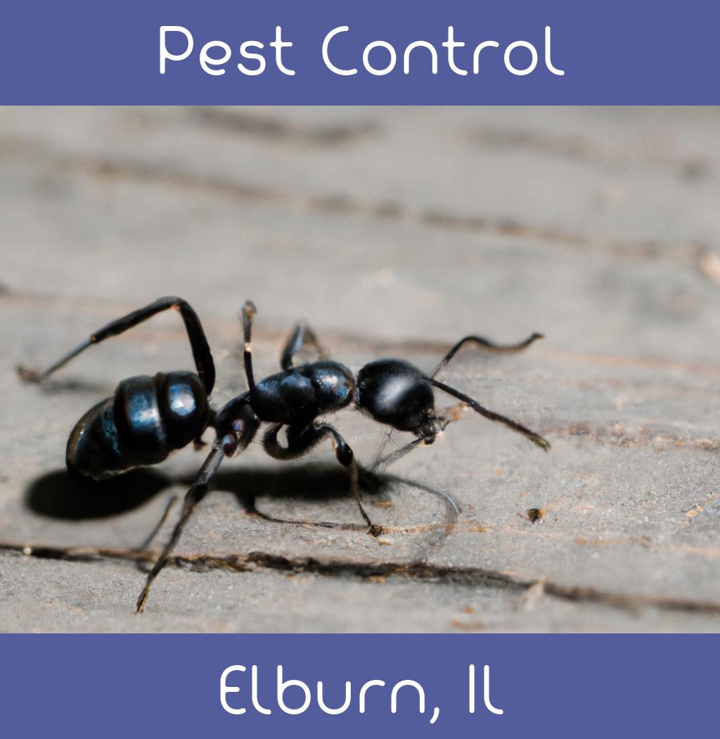 pest control in Elburn Illinois