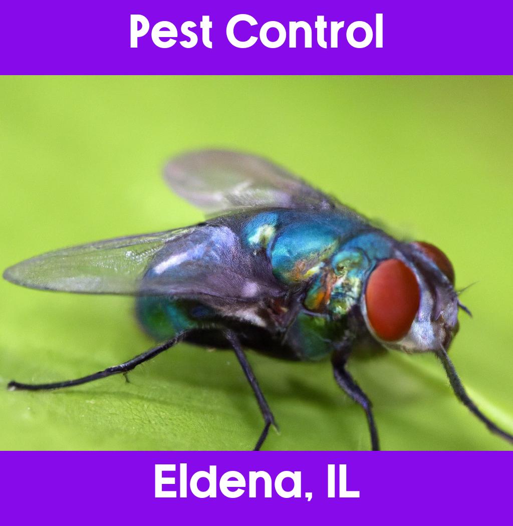 pest control in Eldena Illinois