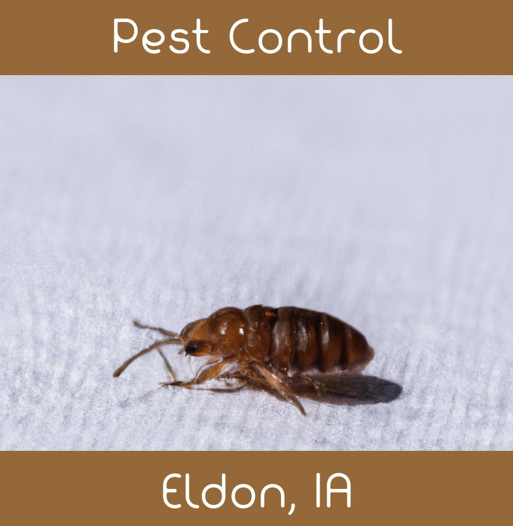 pest control in Eldon Iowa