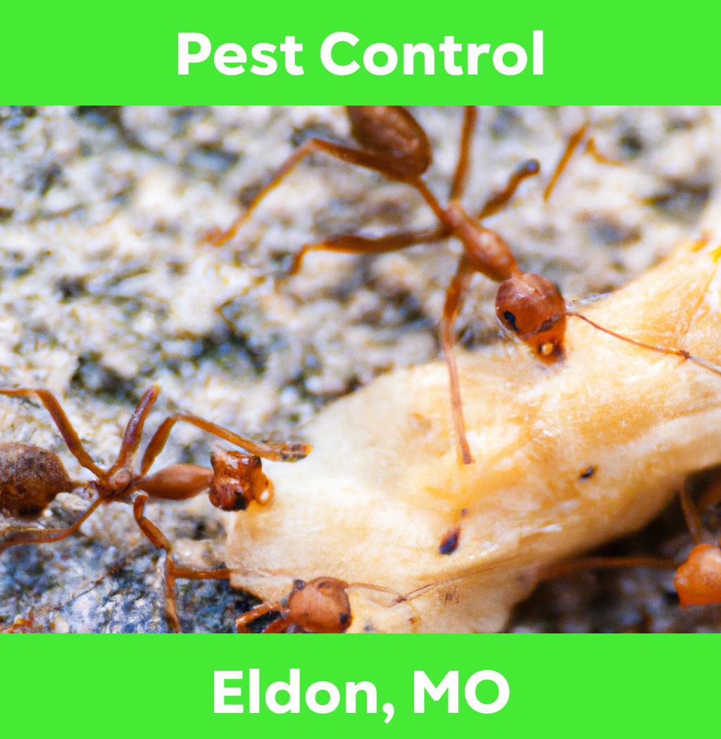 pest control in Eldon Missouri