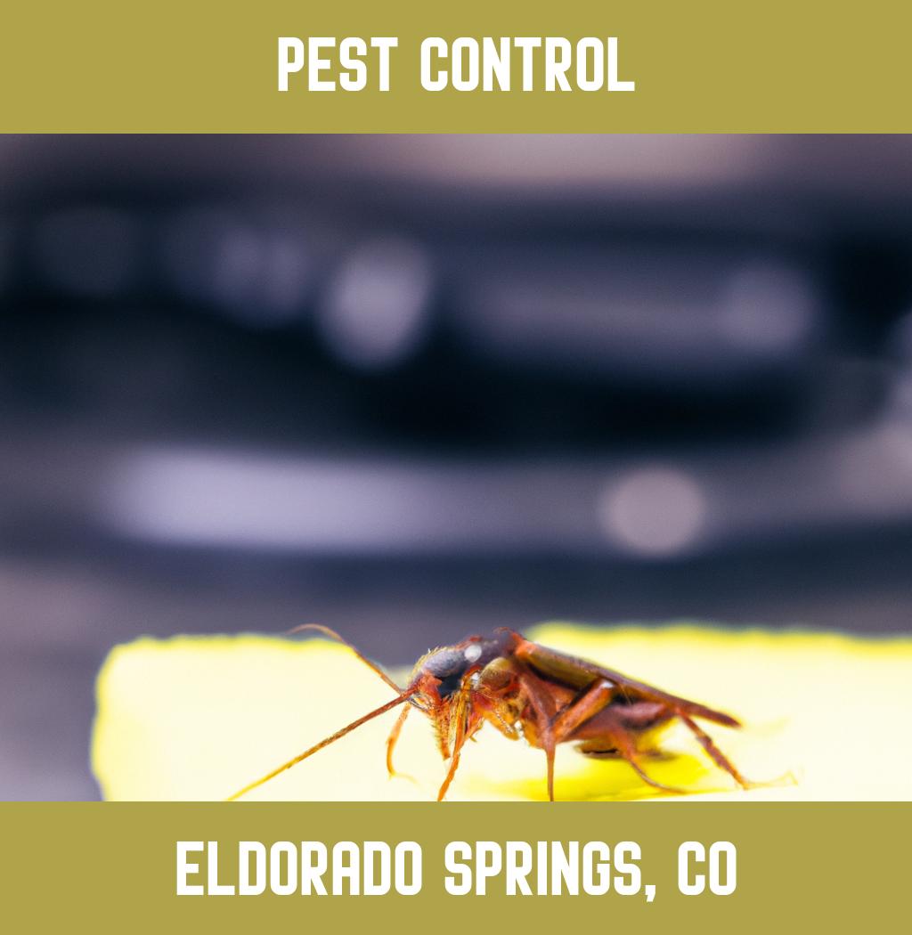 pest control in Eldorado Springs Colorado