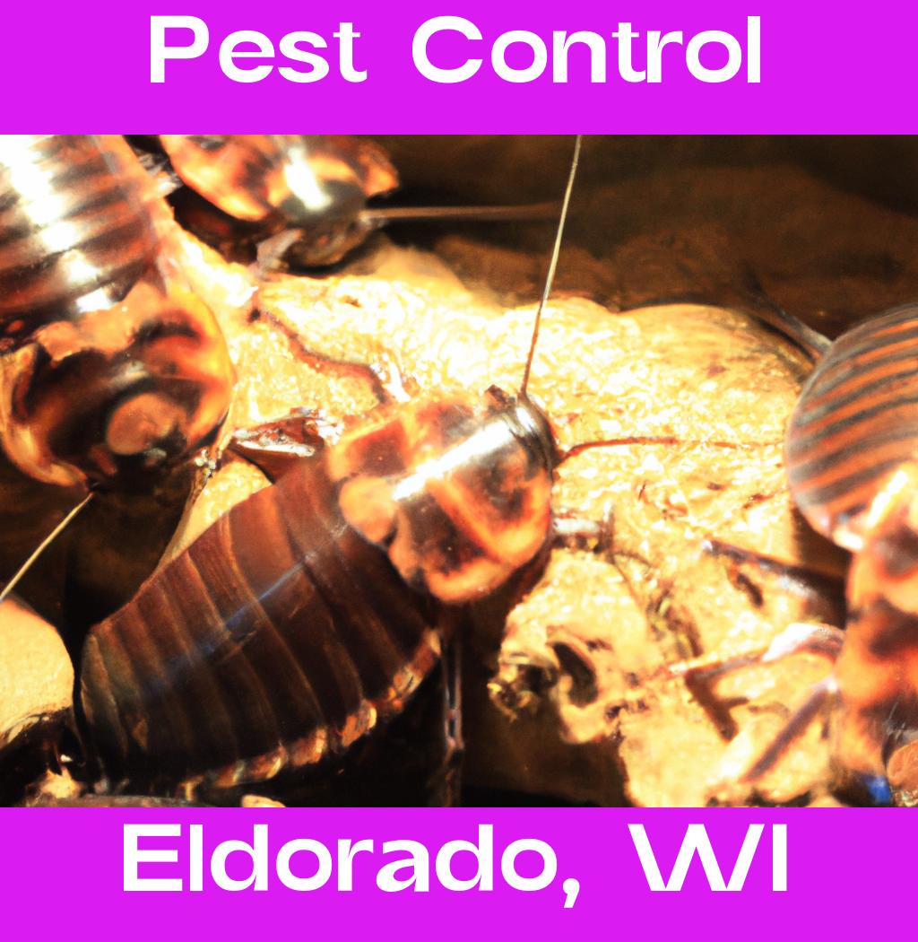 pest control in Eldorado Wisconsin